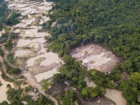 Large brown patches replace trees in destroyed areas of the Amazon rainforest.