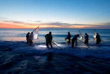 Traditional triangle-net fishing off the coast of Taiwan