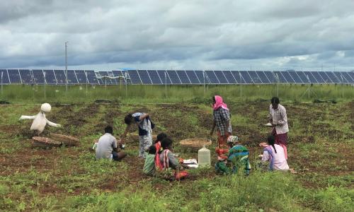 Agricultural workers tend crops outside the Pavagada solar park fence.