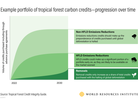 An example tropical forest carbon credit portfolio.