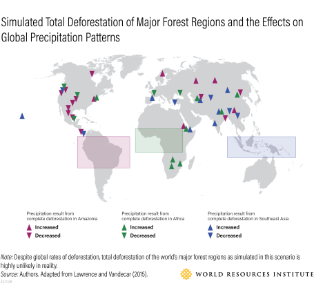 How deforestation affects global precipitation patterns