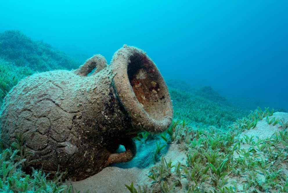 Amphora a large pot with sediment sitting on sea grass